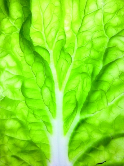 眼到 手到 图到──对话手机摄影师罗旌旗(2)