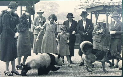 功勛熊貓雕塑落戶英國(guó)倫敦(圖）