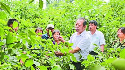 河北农大教授李保国：30年带动10万太行农民奔小康