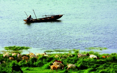 两岸画廊一河诗——秋浦河