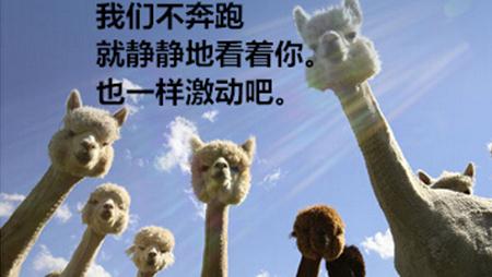 b0.upaiyun.com 宽600x728高       你内心一万只草泥马奔腾 p2.