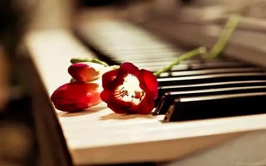 两个已婚十年的长春同学,带着各自的妻子参加