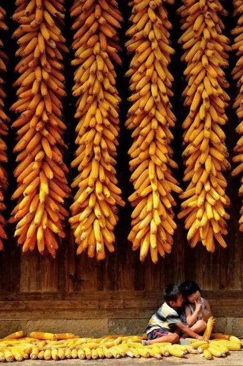 把这些东西挂起来,整个世界都美哭了!