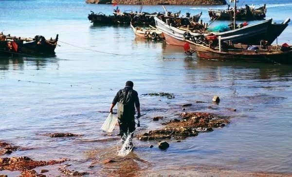 青岛34个春游好去处!烧烤、放风筝、赏花等,想