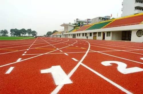 青岛34个春游好去处!烧烤、放风筝、赏花等,想