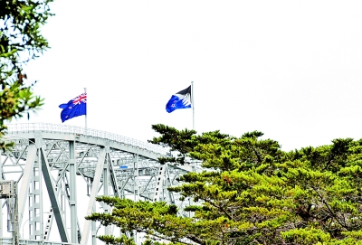 新西兰全民公决初步结果支持现行国旗