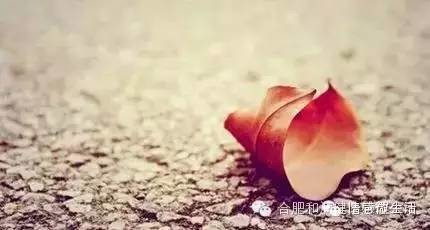 别人尊重你,并不是因为你优秀,而是别人很优秀