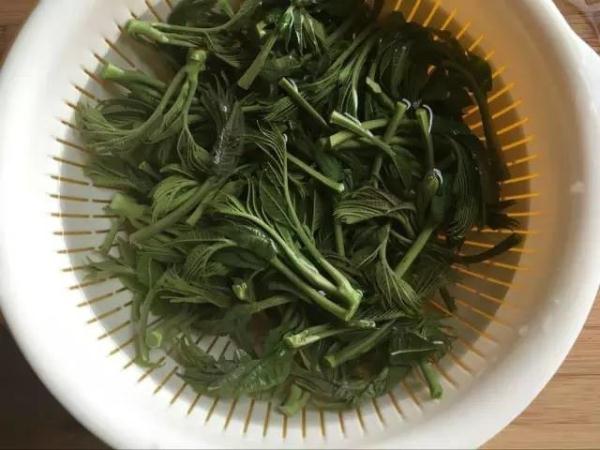 春天最不该错过的廉价美味!养胃润肤,曾是贡品! 春天最不该错过的廉价美味!养胃润肤,曾是贡品!