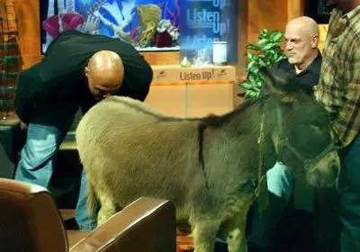 逝去的黄金时代!他们是我看NBA的原因