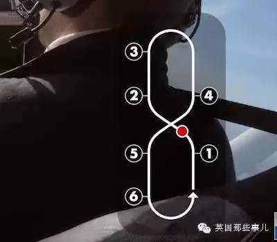 流浪狗竟然会驾驶飞机？！这回真的要上天了……