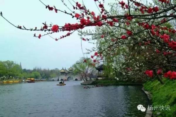 震撼大片!烟花三月，扬州如此迷人! _即时新闻 _光明网