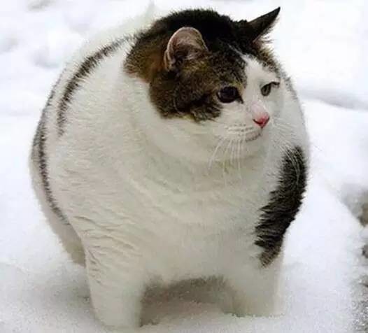 身为明星﹐这家伙也太色了吧﹗