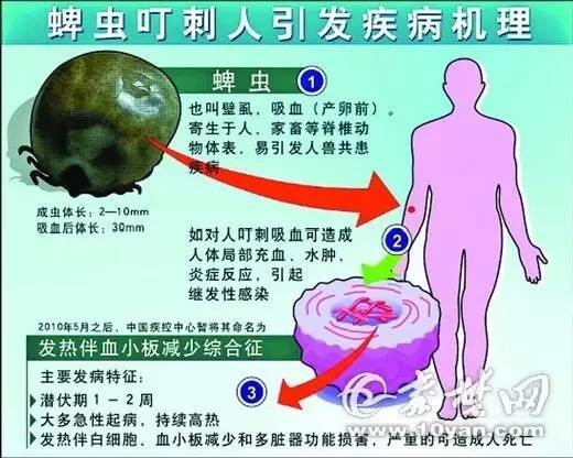 男子得了绝症黑色素瘤？护士棉棒一擦剧情反转！踏青时一定要小心！