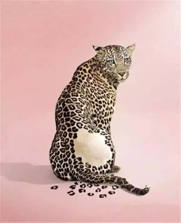 一组成人才能看懂的内涵图片…别假装你看不懂