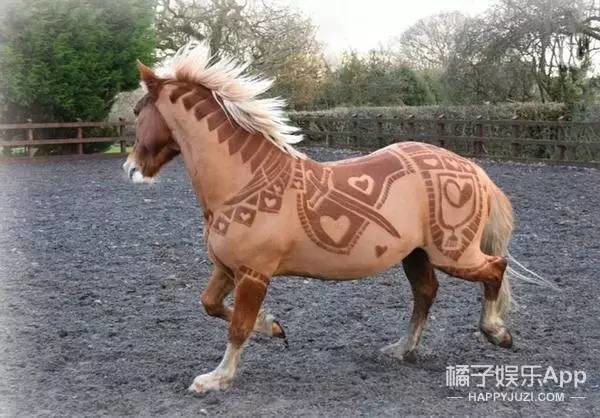 为什么全英国的马都想找她纹身!