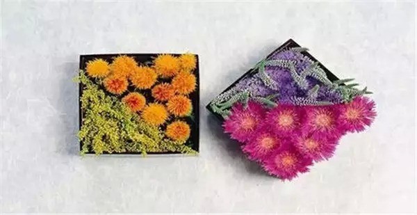 话不狠,站不稳,我不想做老实人