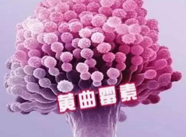 这种米能让人中毒,快看看你家有没有!