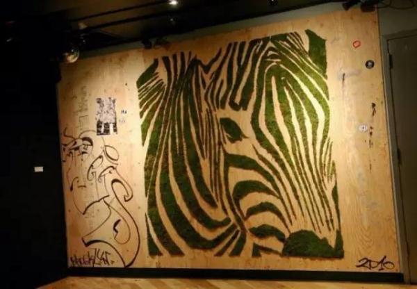 他用酸奶、啤酒、苔蘚把動物養(yǎng)在墻上，14天后的畫面，讓人驚訝地說不出話