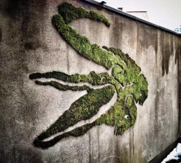 他用酸奶、啤酒、苔蘚把動物養(yǎng)在墻上，14天后的畫面，讓人驚訝地說不出話
