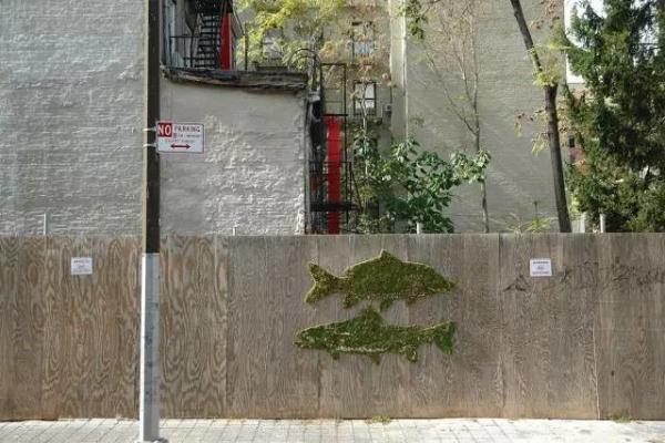 他用酸奶、啤酒、苔蘚把動物養(yǎng)在墻上，14天后的畫面，讓人驚訝地說不出話