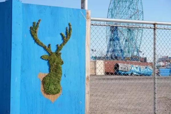 他用酸奶、啤酒、苔蘚把動物養(yǎng)在墻上，14天后的畫面，讓人驚訝地說不出話