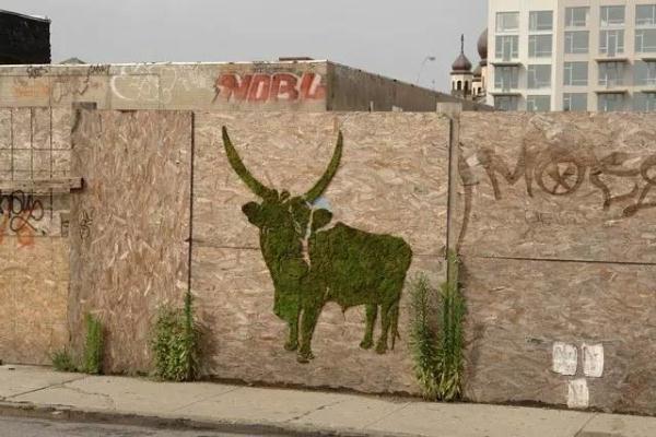 他用酸奶、啤酒、苔蘚把動物養(yǎng)在墻上，14天后的畫面，讓人驚訝地說不出話