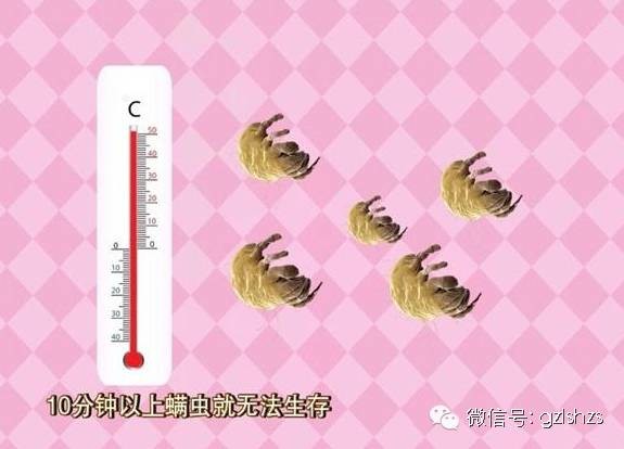 凉席上大量的螨虫,怎么清除?用这招!真是太神