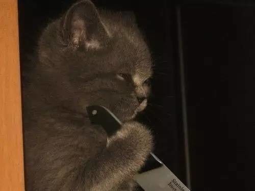 【爱吐槽】最常见的鸵鸟心态:理发时闭眼。