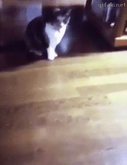 【爱吐槽】最常见的鸵鸟心态:理发时闭眼。