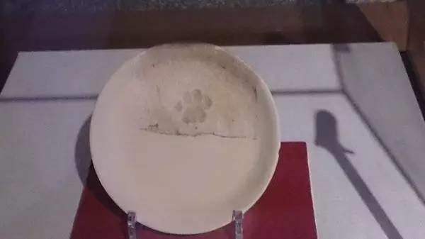 【爱吐槽】最常见的鸵鸟心态:理发时闭眼。