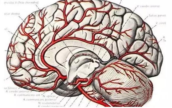 老年痴呆很可怕,预防原来这么简单,可惜99%的