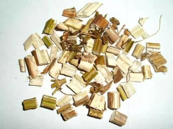 【健康】紫苏竟然这么好!一定要告诉更多人 【健康】紫苏竟然这么好!一定要告诉更多人