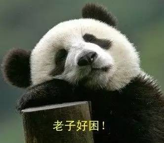 五月已过半,长春人接下来的日子不好过啊!