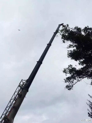 男子滑翔 向女友求婚被挂树 上1小时 女友拒绝(