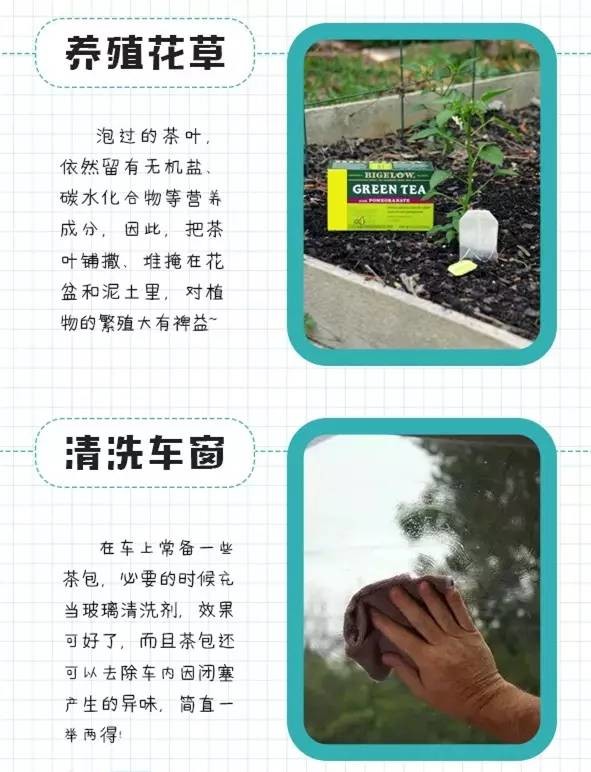 【实用】茶叶只能喝？其实还能这么用~