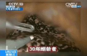 热点 | 为了这个日子 鸟巢“披”上了外衣