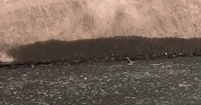 手机屏幕碎了怎么办?不用换屏15分钟修复~