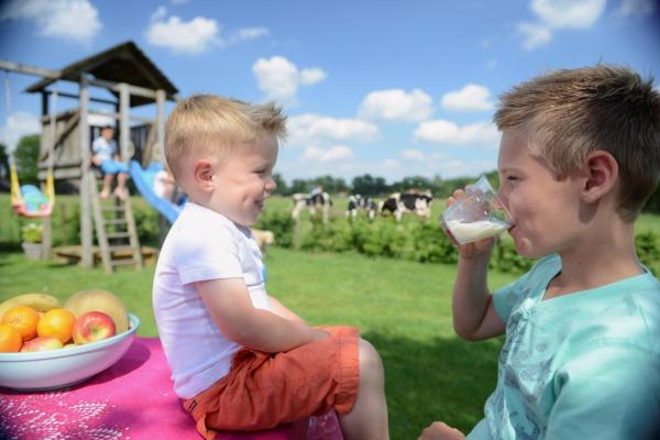 健康科普:世界牛奶日 专家建议早晚喝牛奶、饭