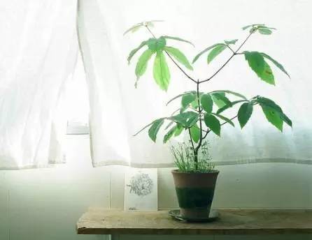 跟今天过不去?这样的人太傻!