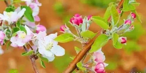 鲁豫哭了,李咏哭了,乐嘉哭了…看完我也哭了!