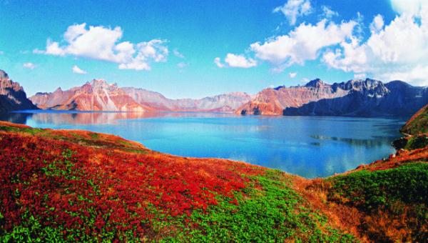 爱斐儿:把写在纸上的诗句换成露水