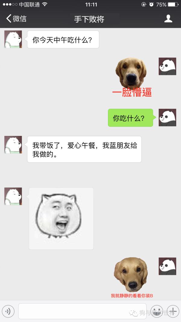 如何用自家狗狗做微信表情包？