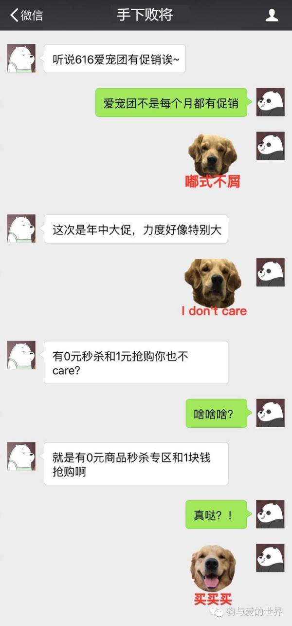 如何用自家狗狗做微信表情包？