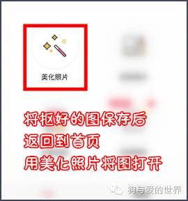 如何用自家狗狗做微信表情包？