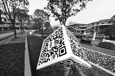 阳新县龙港镇_龙港镇财政收入