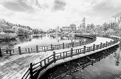 阳新县龙港镇_龙港镇财政收入(3)