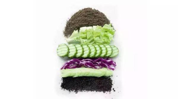 厨房垃圾先别扔,试试这样利用…