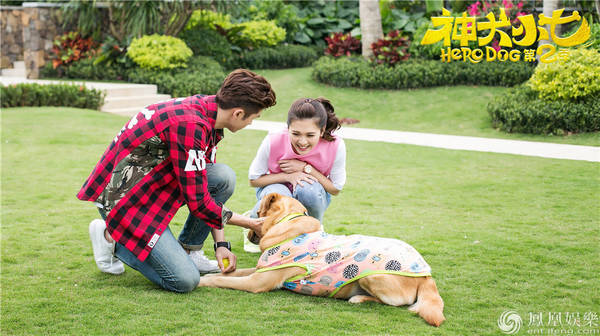 撩汉靠颜值 《神犬小七第二季》王洋变花痴倒