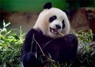 谁说长春婚礼没有大画面，看看这个！【7月3日&nbsp;星期日】