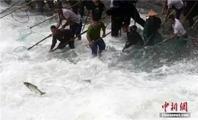 谁说长春婚礼没有大画面，看看这个！【7月3日&nbsp;星期日】